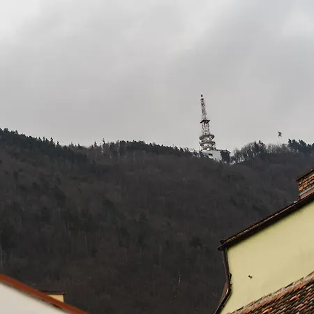 Brassovia